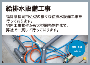 �P�����E�Y��