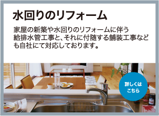 �P�����E�Y��