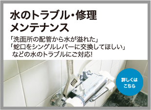 �P�����E�Y��