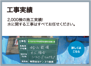 �P�����E�Y��